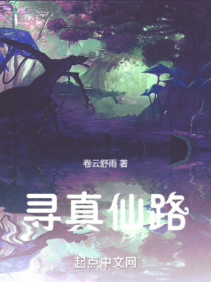 寻情记